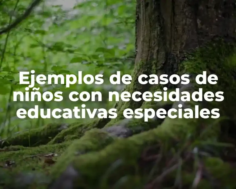Ejemplos de casos de niños con necesidades educativas especiales