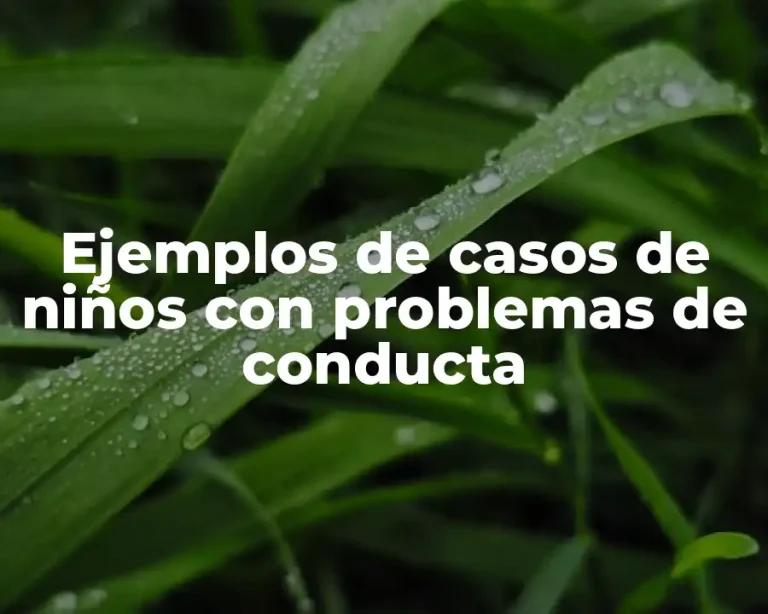 Ejemplos de casos de niños con problemas de conducta