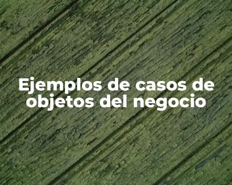 Ejemplos de casos de objetos del negocio