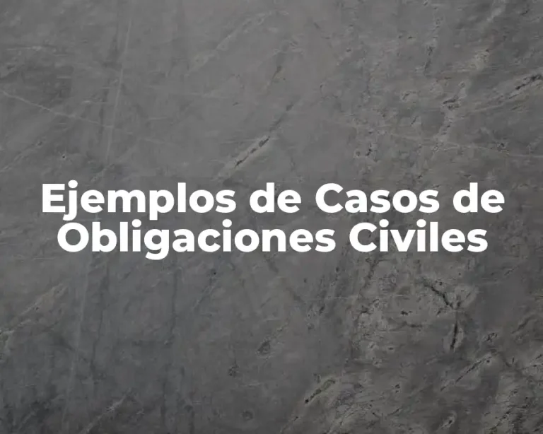 Ejemplos de Casos de Obligaciones Civiles