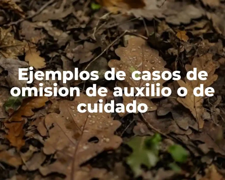 Ejemplos de casos de omision de auxilio o de cuidado
