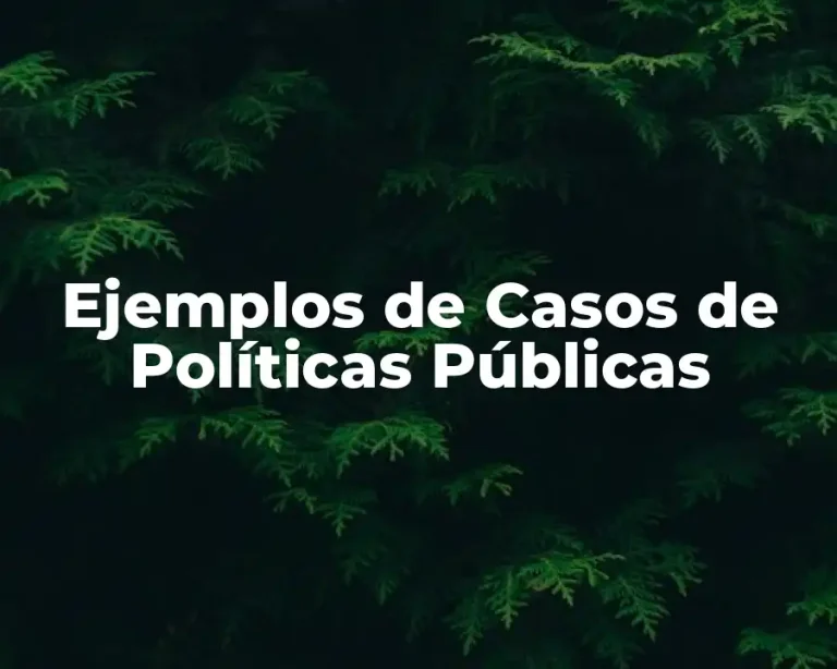 Ejemplos de Casos de Políticas Públicas