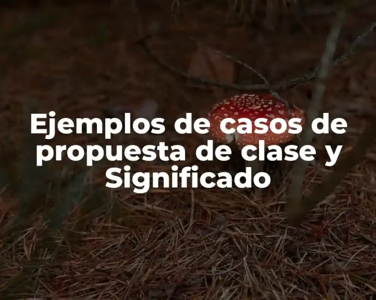 Ejemplos de casos de propuesta de clase y Significado
