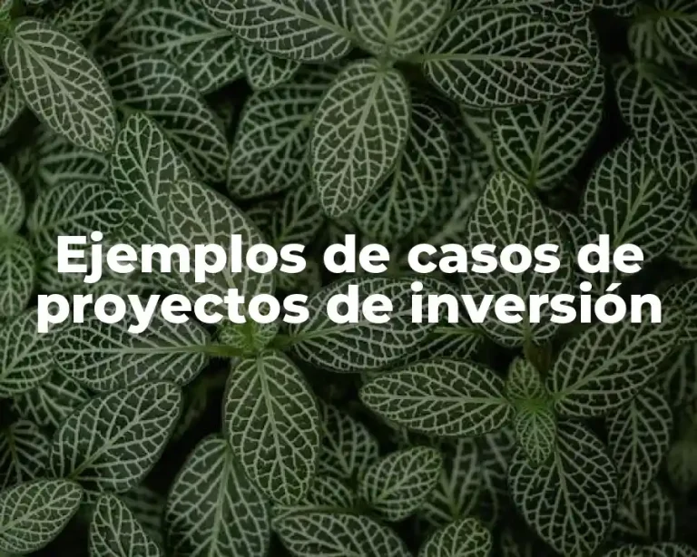 Ejemplos de casos de proyectos de inversión