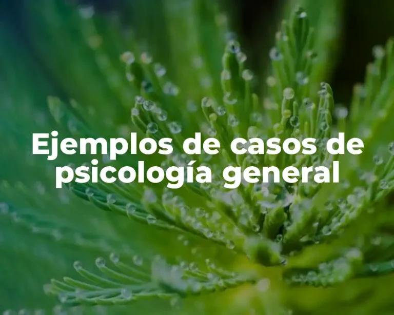 Ejemplos de casos de psicología general