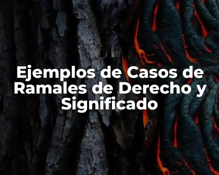 Ejemplos de Casos de Ramales de Derecho y Significado