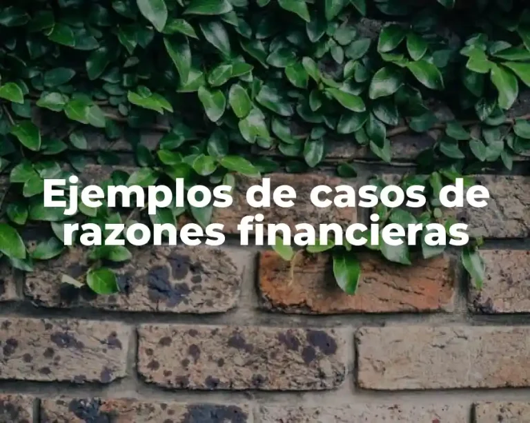 Ejemplos de casos de razones financieras