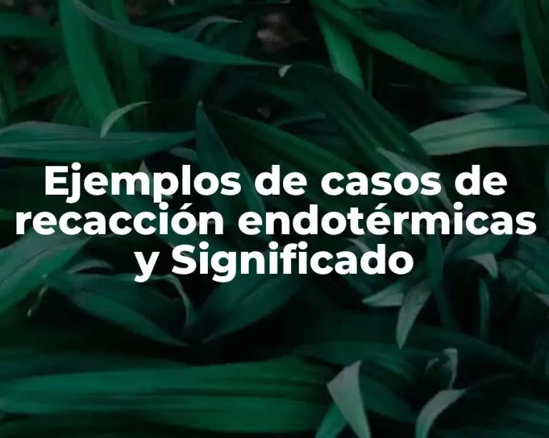 Ejemplos de casos de recacción endotérmicas y Significado