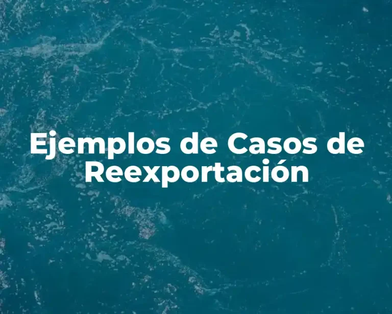 Ejemplos de Casos de Reexportación