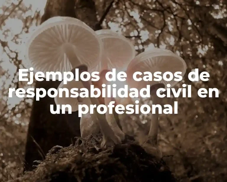 Ejemplos de casos de responsabilidad civil en un profesional