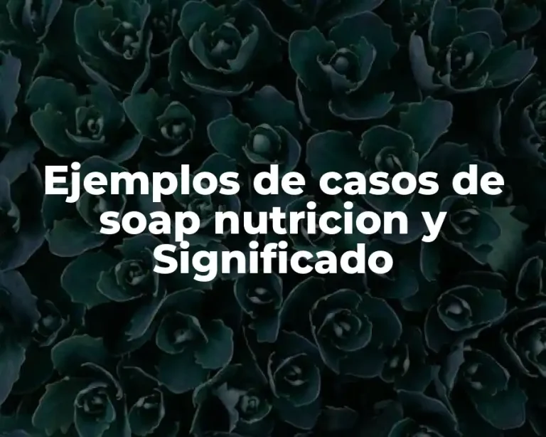 Ejemplos de casos de soap nutricion y Significado