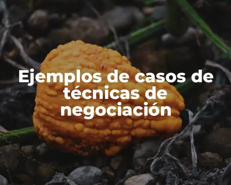 Ejemplos de casos de técnicas de negociación