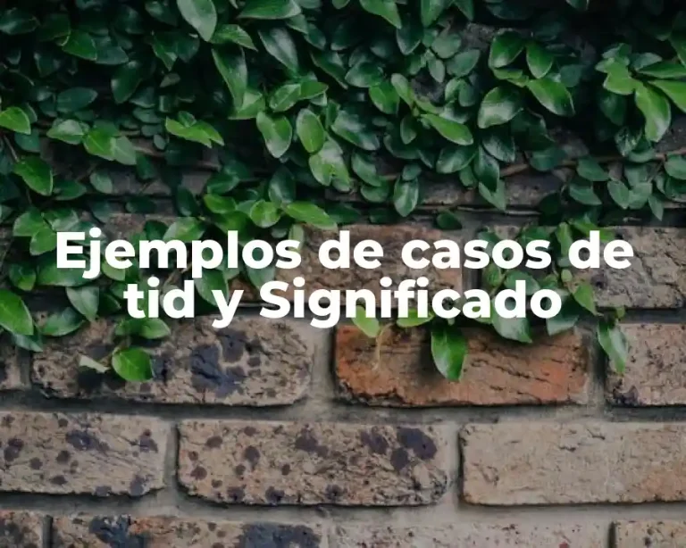 Ejemplos de casos de tid y Significado