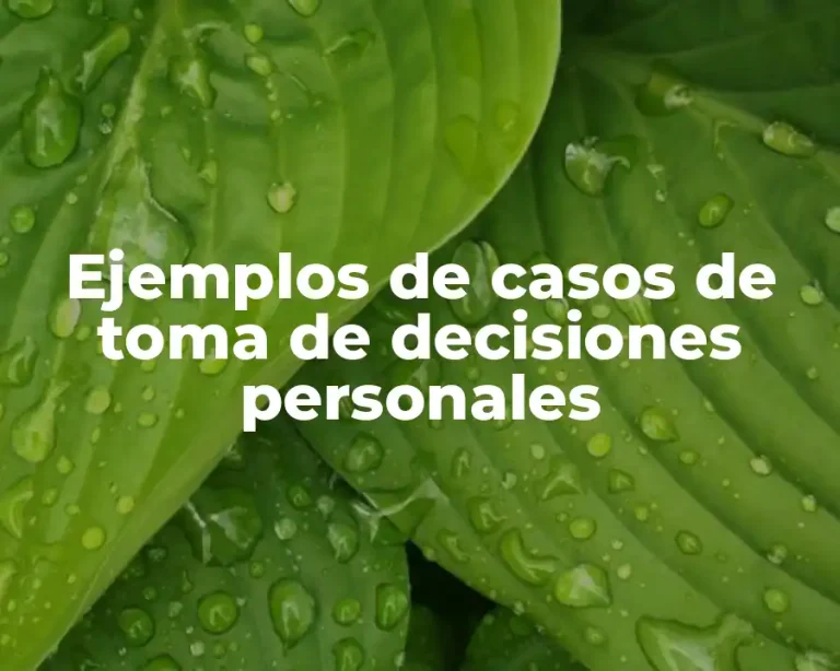 Ejemplos de casos de toma de decisiones personales