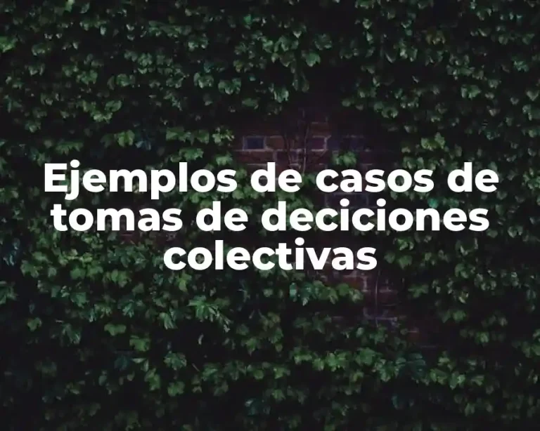 Ejemplos de casos de tomas de deciciones colectivas