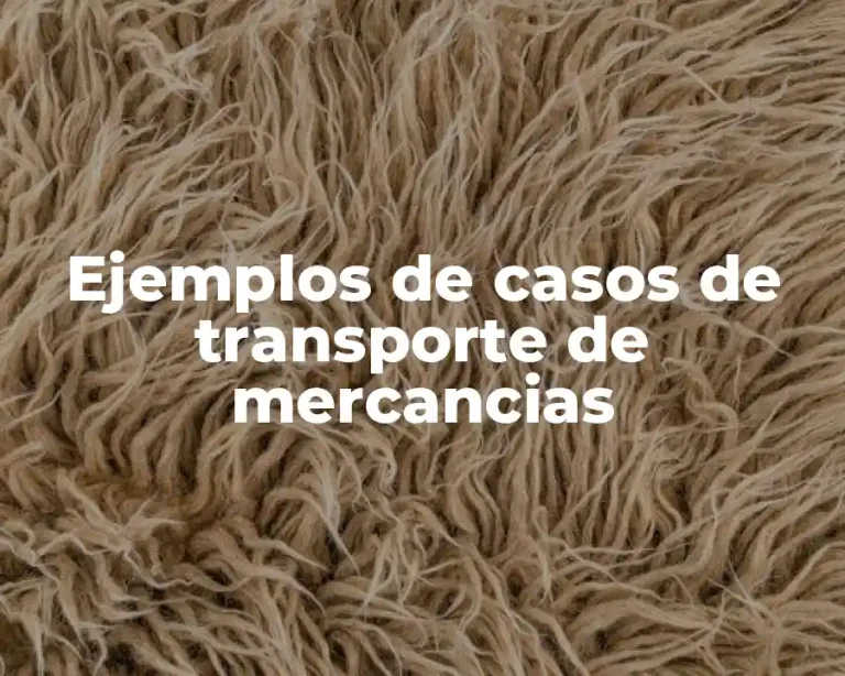 Ejemplos de casos de transporte de mercancias