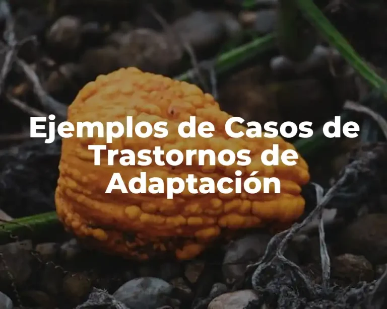 Ejemplos de Casos de Trastornos de Adaptación