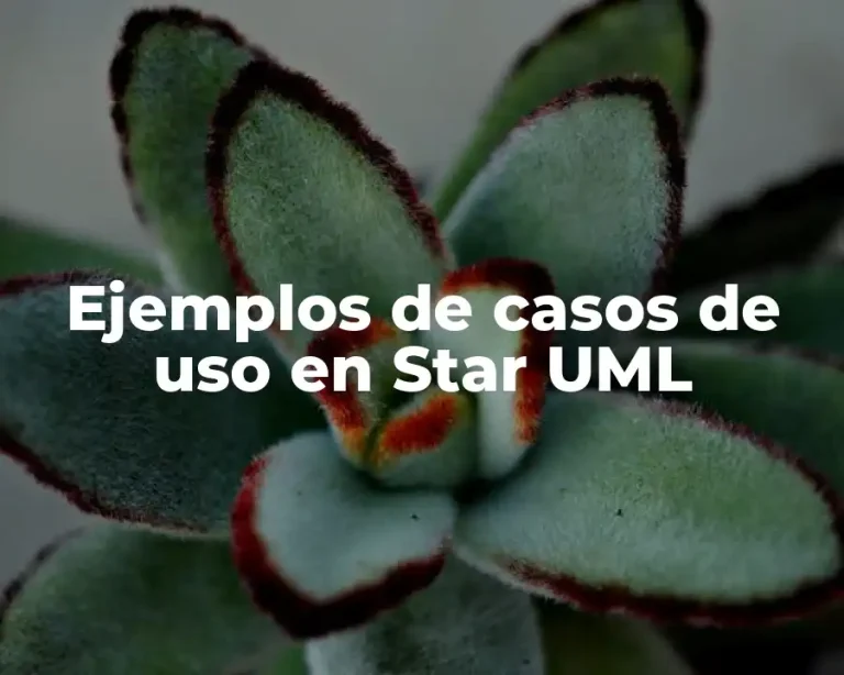 Ejemplos de casos de uso en Star UML
