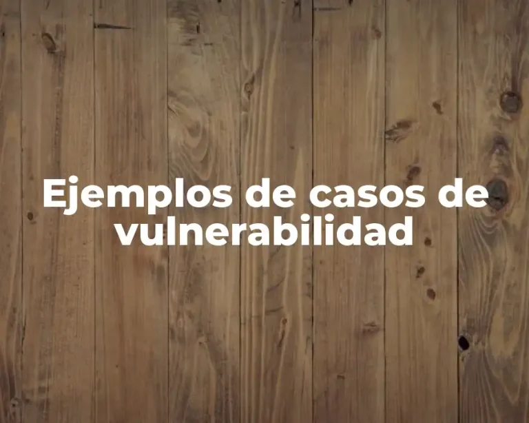 Ejemplos de casos de vulnerabilidad