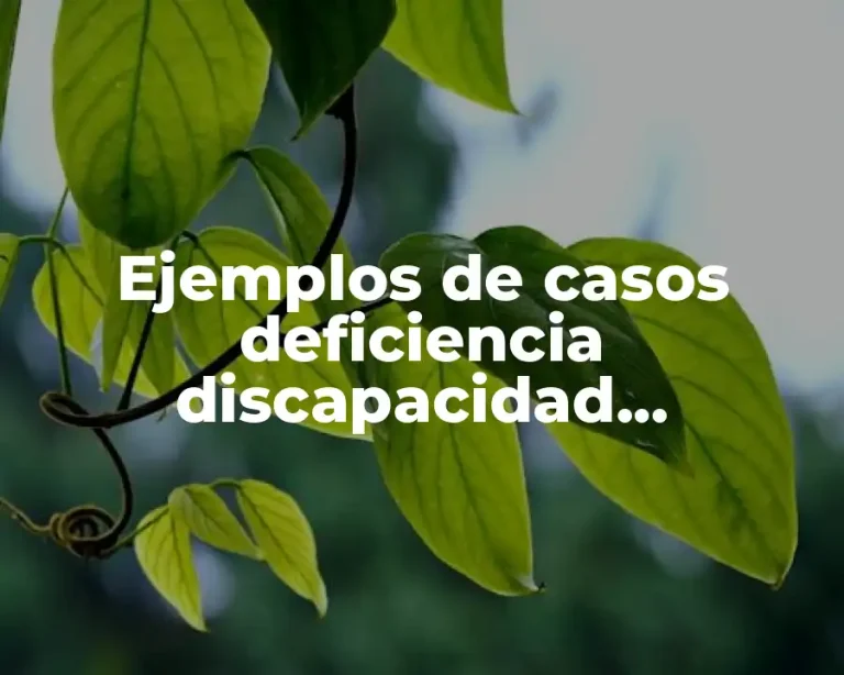 Ejemplos de casos deficiencia discapacidad minusvalía