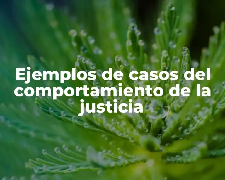 Ejemplos de casos del comportamiento de la justicia