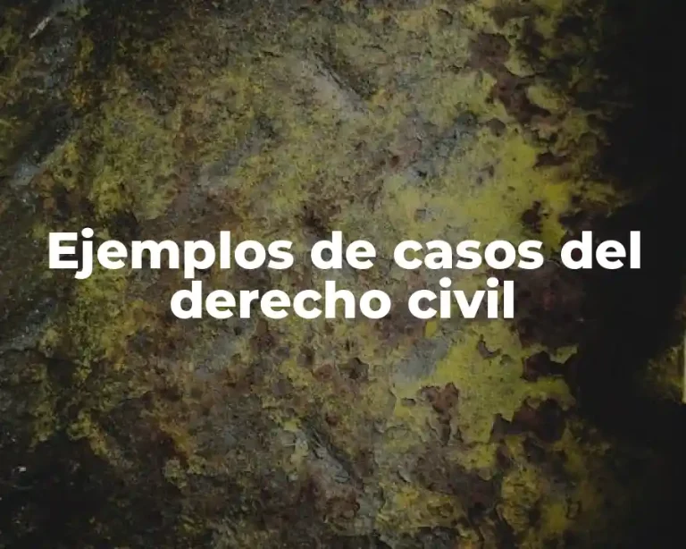 Ejemplos de casos del derecho civil