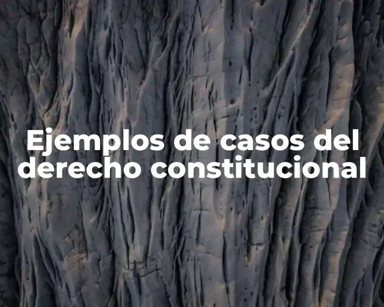 Ejemplos de casos del derecho constitucional