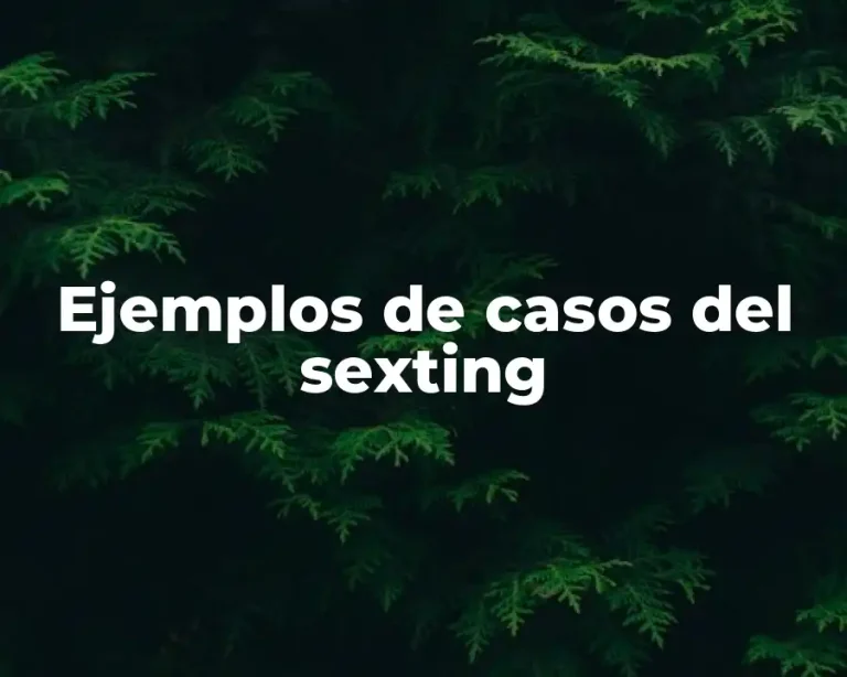 Ejemplos de casos del sexting