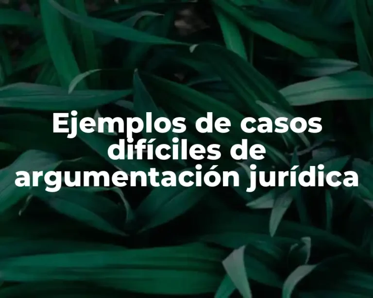 Ejemplos de casos difíciles de argumentación jurídica