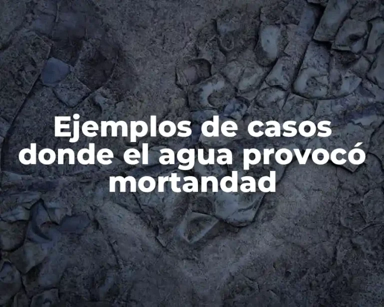 Ejemplos de casos donde el agua provocó mortandad