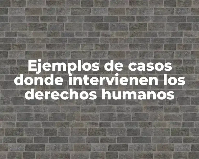 Ejemplos de casos donde intervienen los derechos humanos