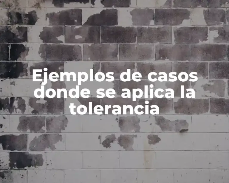 Ejemplos de casos donde se aplica la tolerancia