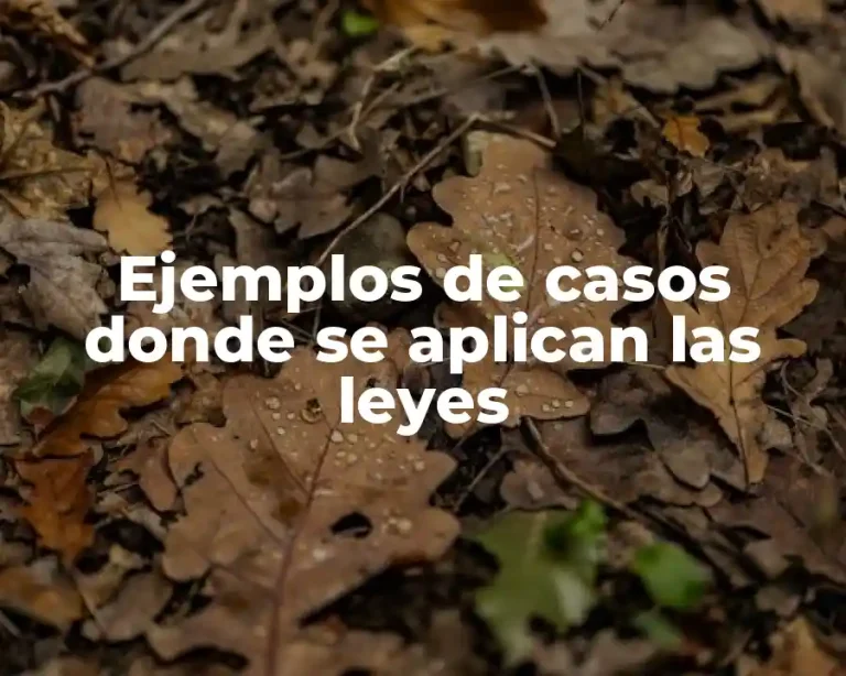 Ejemplos de casos donde se aplican las leyes