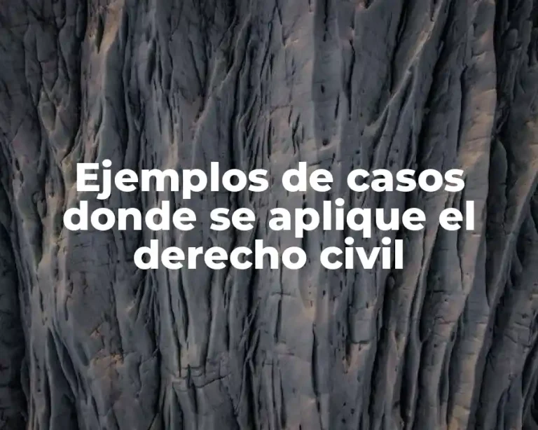 Ejemplos de casos donde se aplique el derecho civil