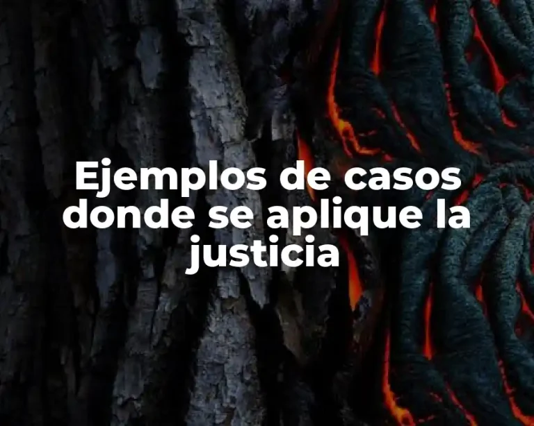 Ejemplos de casos donde se aplique la justicia