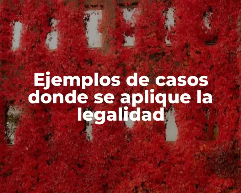 Ejemplos de casos donde se aplique la legalidad