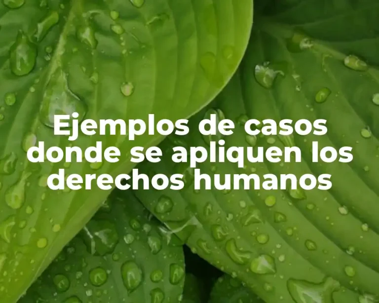 Ejemplos de casos donde se apliquen los derechos humanos