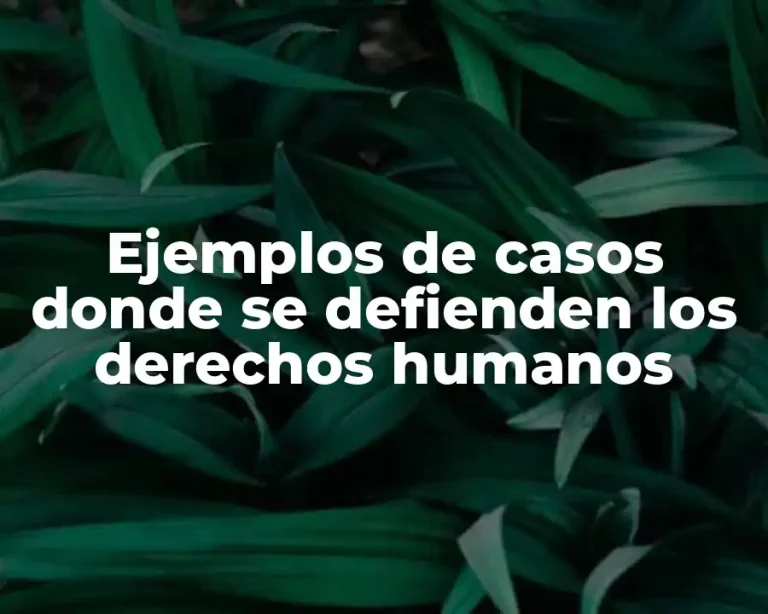 Ejemplos de casos donde se defienden los derechos humanos