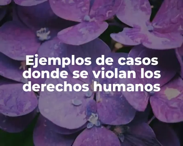 Ejemplos de casos donde se violan los derechos humanos