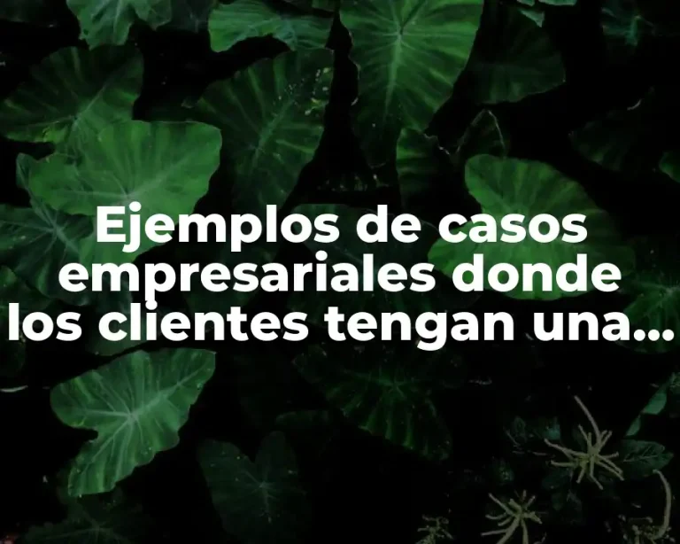 Ejemplos de casos empresariales donde los clientes tengan una injerencia