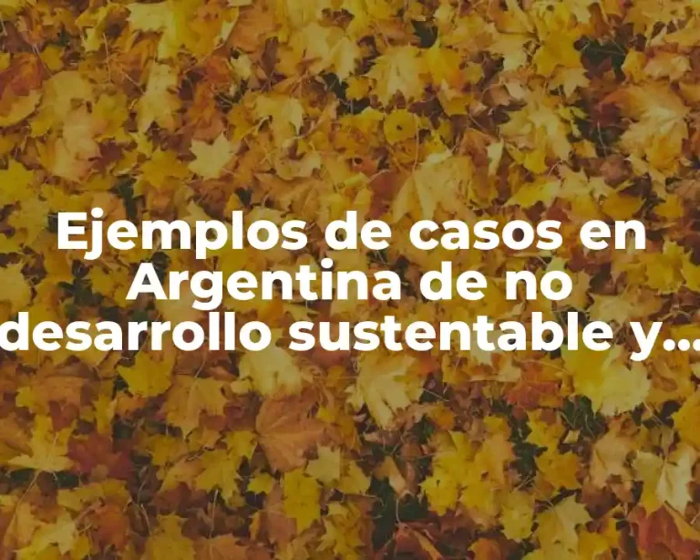 Ejemplos de casos en Argentina de no desarrollo sustentable y Significado