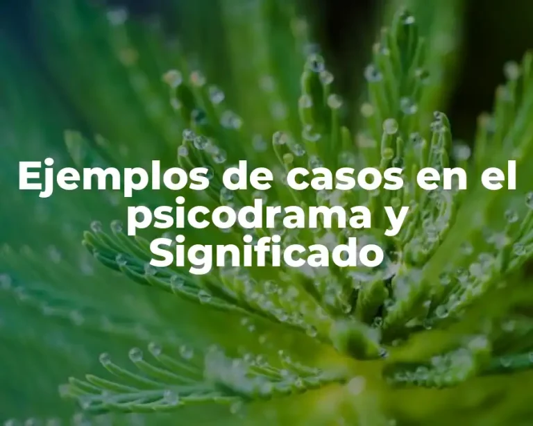 Ejemplos de casos en el psicodrama y Significado