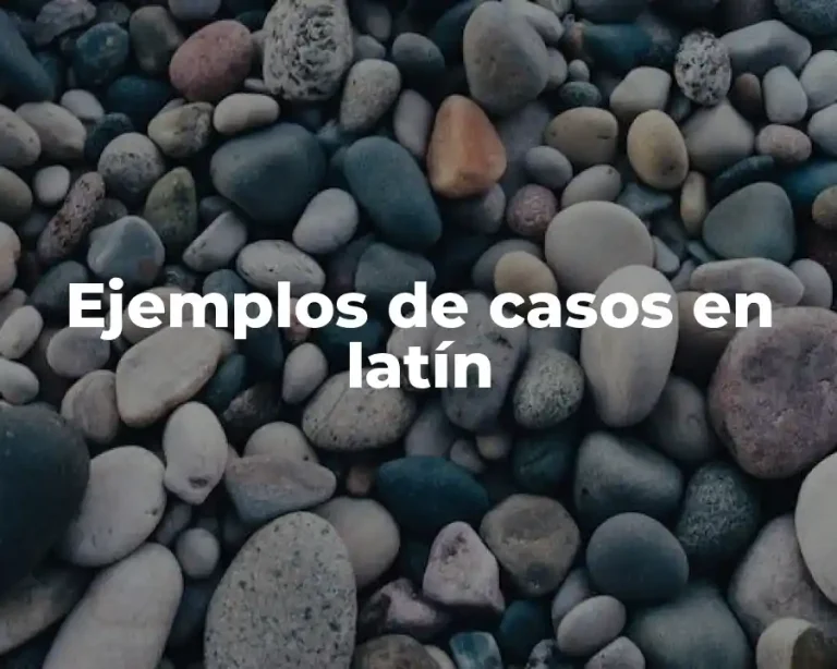 Ejemplos de casos en latín