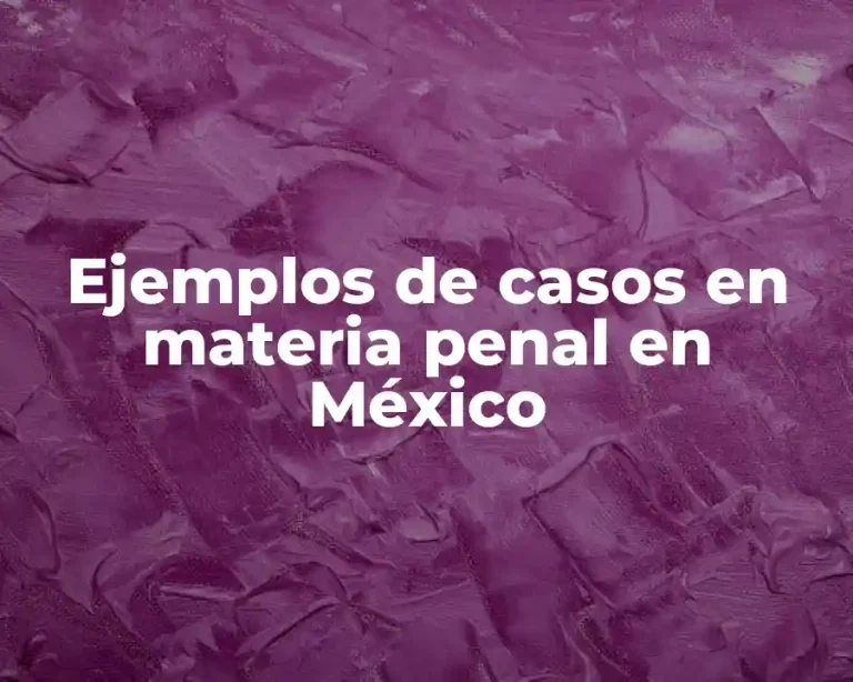 Ejemplos de casos en materia penal en México