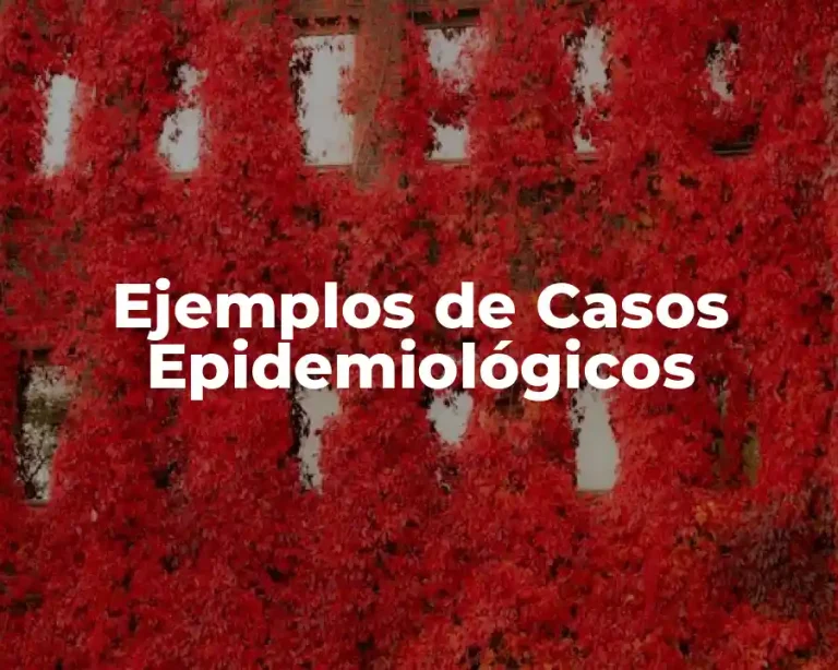 Ejemplos de Casos Epidemiológicos