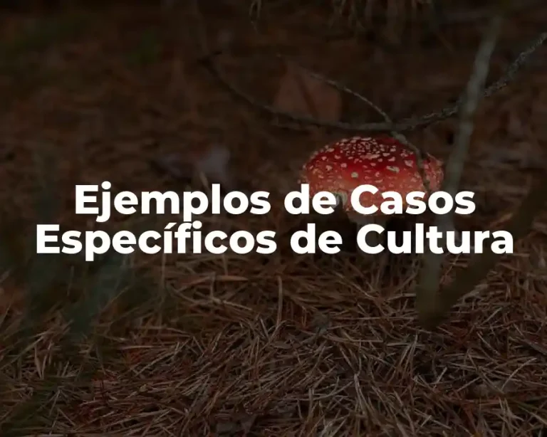 Ejemplos de Casos Específicos de Cultura
