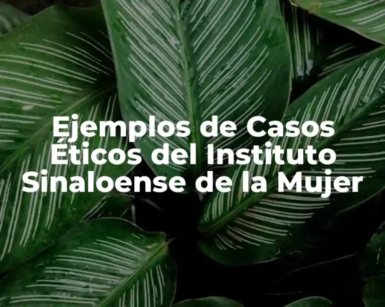 Ejemplos de Casos Éticos del Instituto Sinaloense de la Mujer