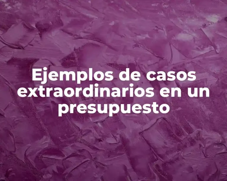 Ejemplos de casos extraordinarios en un presupuesto