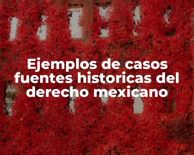 Ejemplos de casos fuentes historicas del derecho mexicano