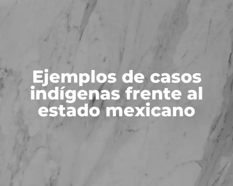 Ejemplos de casos indígenas frente al estado mexicano